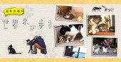 岩合光昭の猫步走世界~津轻的四季 秋冬特別篇